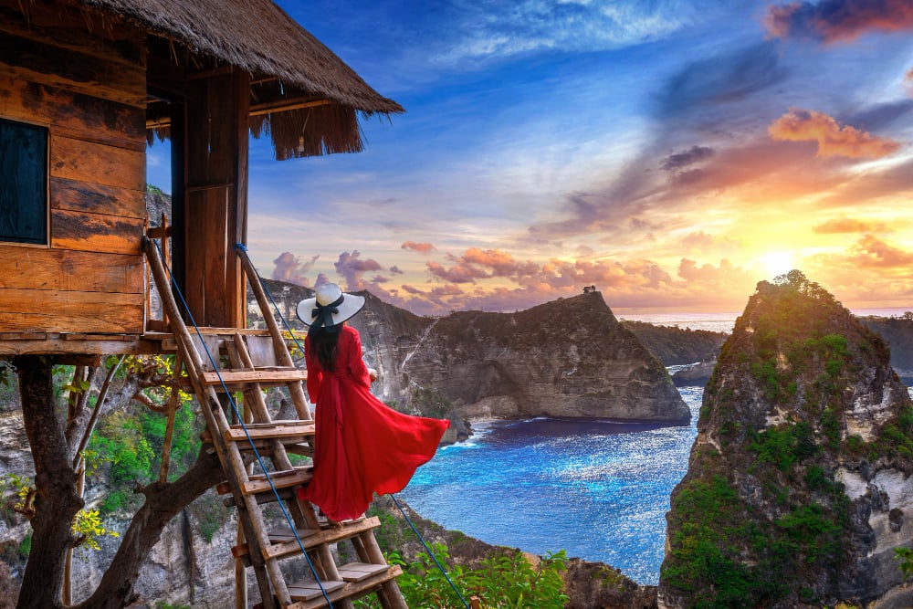 Bali beach and tropical landscape